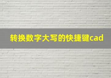 转换数字大写的快捷键cad