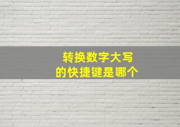 转换数字大写的快捷键是哪个