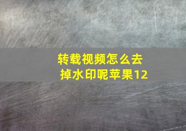 转载视频怎么去掉水印呢苹果12