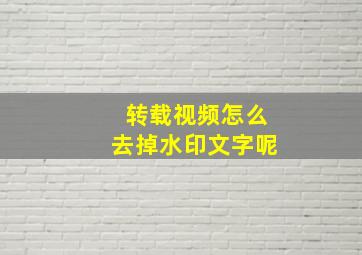 转载视频怎么去掉水印文字呢