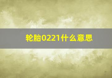 轮胎0221什么意思