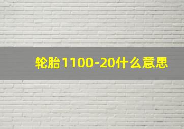 轮胎1100-20什么意思