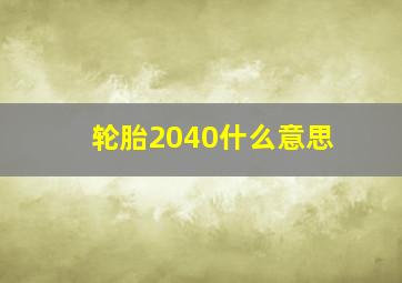 轮胎2040什么意思