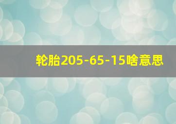 轮胎205-65-15啥意思