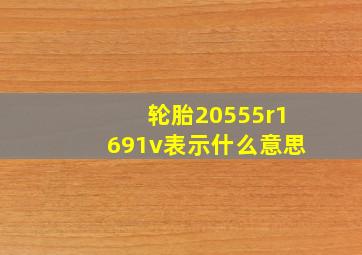 轮胎20555r1691v表示什么意思