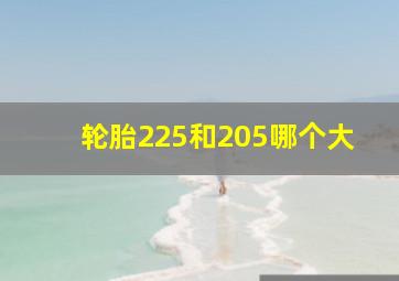 轮胎225和205哪个大