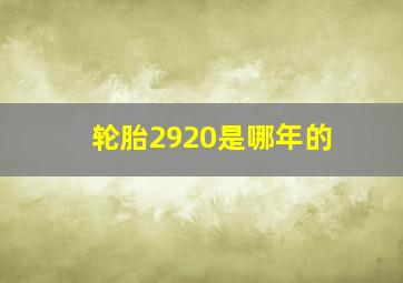 轮胎2920是哪年的