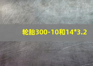 轮胎300-10和14*3.2