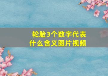 轮胎3个数字代表什么含义图片视频