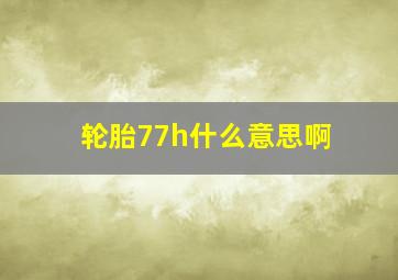 轮胎77h什么意思啊