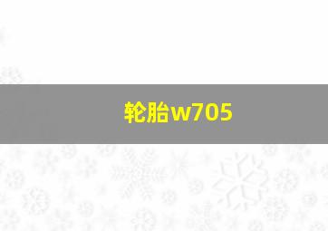 轮胎w705