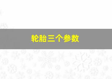 轮胎三个参数