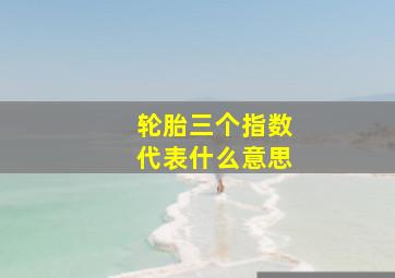 轮胎三个指数代表什么意思