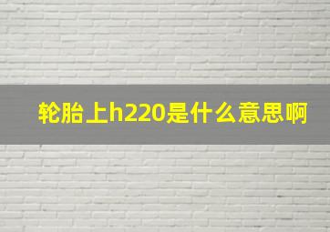 轮胎上h220是什么意思啊