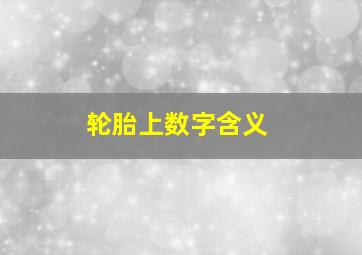 轮胎上数字含义