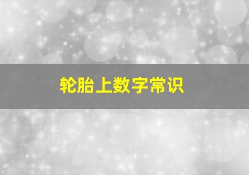 轮胎上数字常识