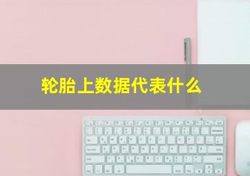 轮胎上数据代表什么