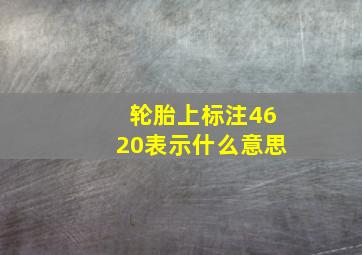 轮胎上标注4620表示什么意思