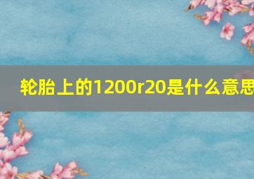 轮胎上的1200r20是什么意思