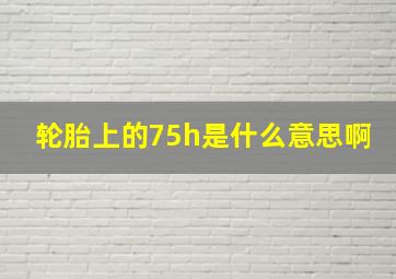 轮胎上的75h是什么意思啊