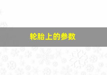 轮胎上的参数