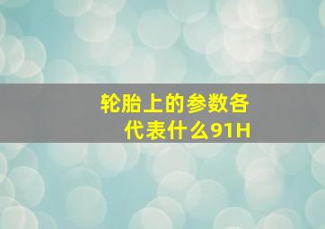 轮胎上的参数各代表什么91H