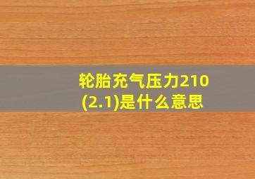 轮胎充气压力210(2.1)是什么意思