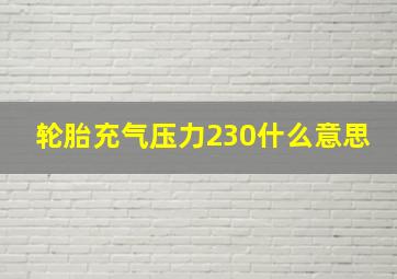 轮胎充气压力230什么意思