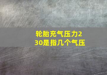 轮胎充气压力230是指几个气压