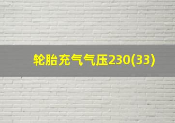 轮胎充气气压230(33)