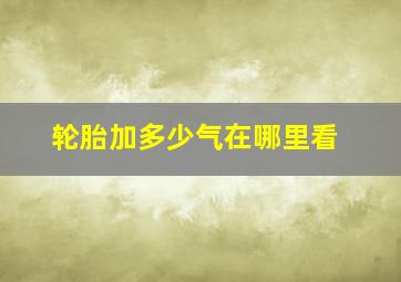 轮胎加多少气在哪里看