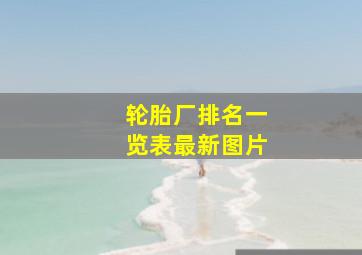 轮胎厂排名一览表最新图片