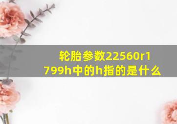 轮胎参数22560r1799h中的h指的是什么