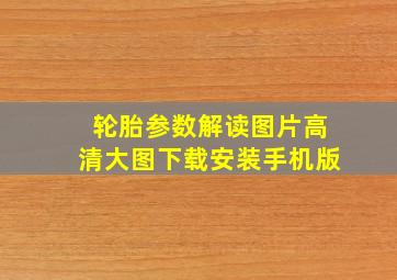 轮胎参数解读图片高清大图下载安装手机版