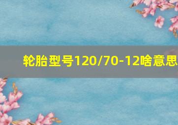 轮胎型号120/70-12啥意思