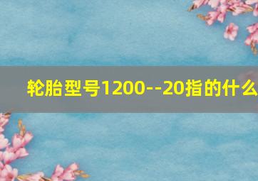 轮胎型号1200--20指的什么