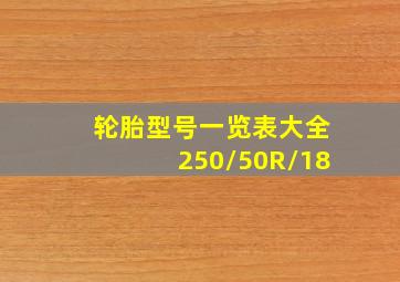 轮胎型号一览表大全250/50R/18