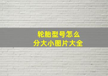 轮胎型号怎么分大小图片大全