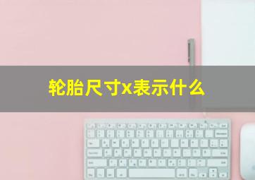 轮胎尺寸x表示什么