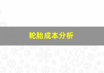 轮胎成本分析