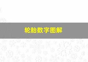 轮胎数字图解