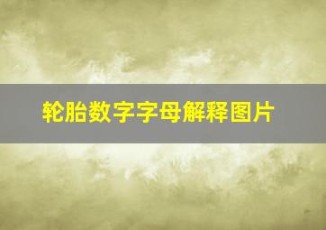 轮胎数字字母解释图片