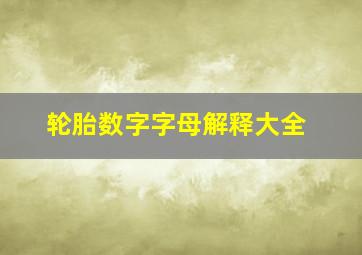 轮胎数字字母解释大全