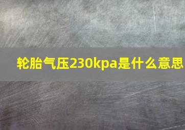 轮胎气压230kpa是什么意思