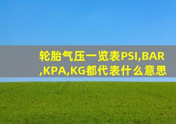 轮胎气压一览表PSI,BAR,KPA,KG都代表什么意思