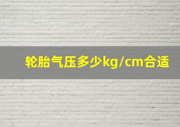 轮胎气压多少kg/cm合适