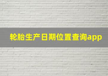 轮胎生产日期位置查询app