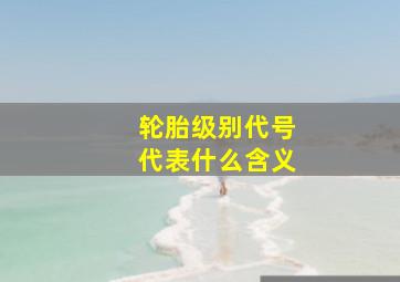 轮胎级别代号代表什么含义