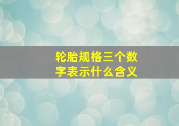 轮胎规格三个数字表示什么含义