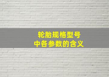 轮胎规格型号中各参数的含义